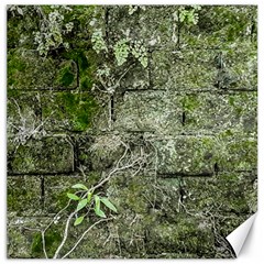 Old Stone Exterior Wall With Moss Canvas 16  X 16  by dflcprintsclothing