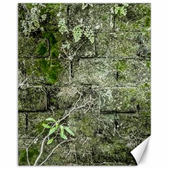 Old Stone Exterior Wall With Moss Canvas 16  X 20  by dflcprintsclothing