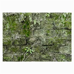 Old Stone Exterior Wall With Moss Large Glasses Cloth (2 Sides) by dflcprintsclothing