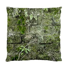 Old Stone Exterior Wall With Moss Standard Cushion Case (two Sides) by dflcprintsclothing