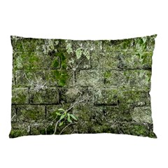 Old Stone Exterior Wall With Moss Pillow Case by dflcprintsclothing