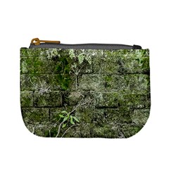 Old Stone Exterior Wall With Moss Mini Coin Purse by dflcprintsclothing