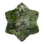 Old Stone Exterior Wall With Moss Ornament (Snowflake) Front