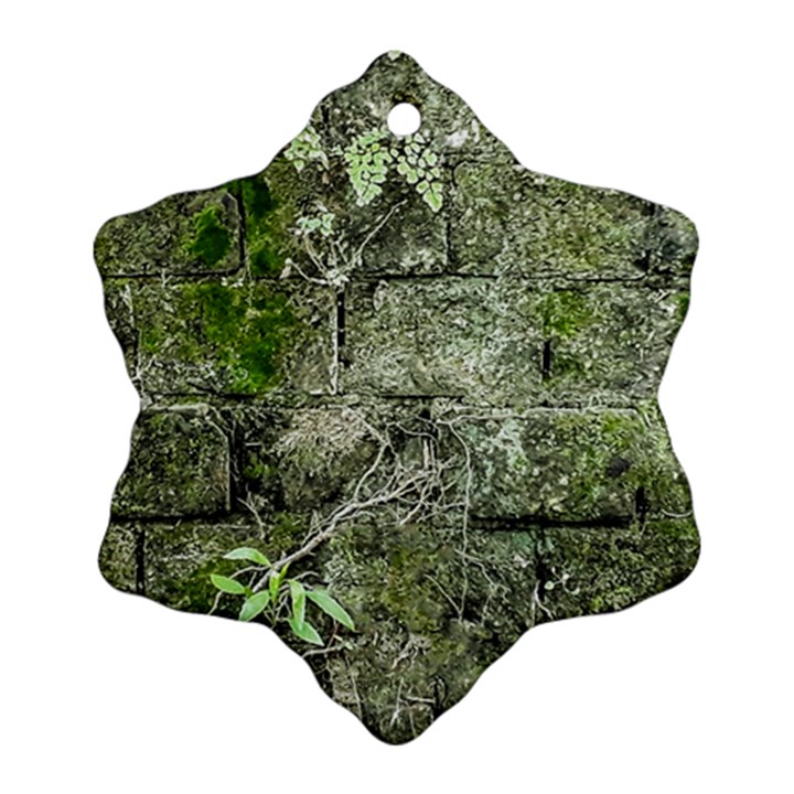 Old Stone Exterior Wall With Moss Ornament (Snowflake)