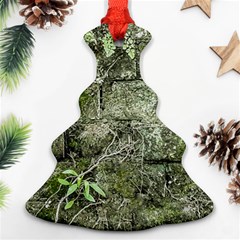 Old Stone Exterior Wall With Moss Ornament (christmas Tree)  by dflcprintsclothing