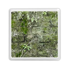 Old Stone Exterior Wall With Moss Memory Card Reader (square) by dflcprintsclothing