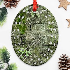 Old Stone Exterior Wall With Moss Oval Filigree Ornament (two Sides) by dflcprintsclothing