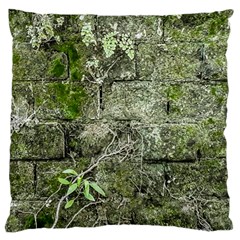 Old Stone Exterior Wall With Moss Large Cushion Case (two Sides) by dflcprintsclothing