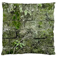 Old Stone Exterior Wall With Moss Standard Premium Plush Fleece Cushion Case (one Side) by dflcprintsclothing