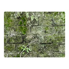 Old Stone Exterior Wall With Moss Premium Plush Fleece Blanket (mini) by dflcprintsclothing