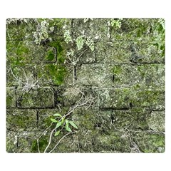 Old Stone Exterior Wall With Moss One Side Premium Plush Fleece Blanket (small) by dflcprintsclothing