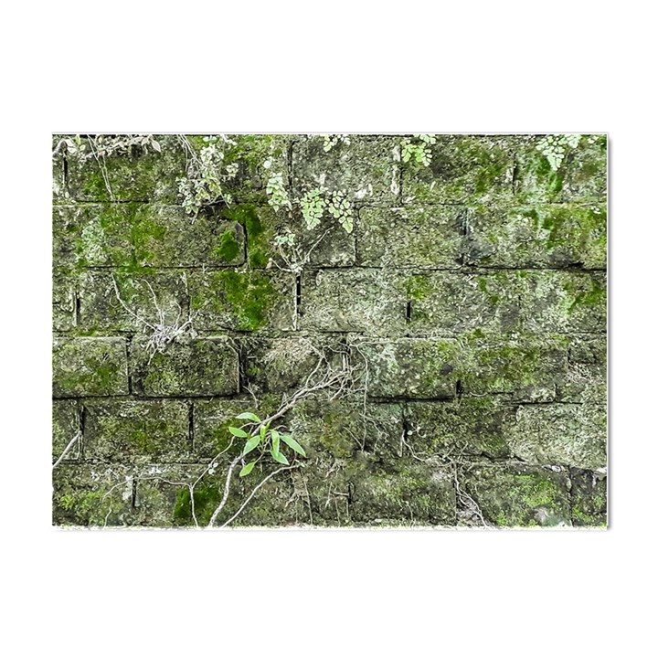 Old Stone Exterior Wall With Moss Crystal Sticker (A4)