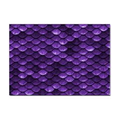 Purple Scales! Sticker A4 (10 Pack)