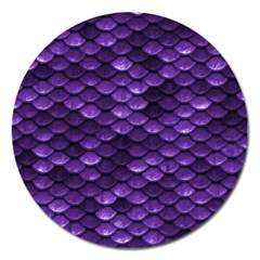 Purple Scales! Magnet 5  (round) by fructosebat