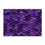 Purple Scales! Sticker A4 (10 pack) Front