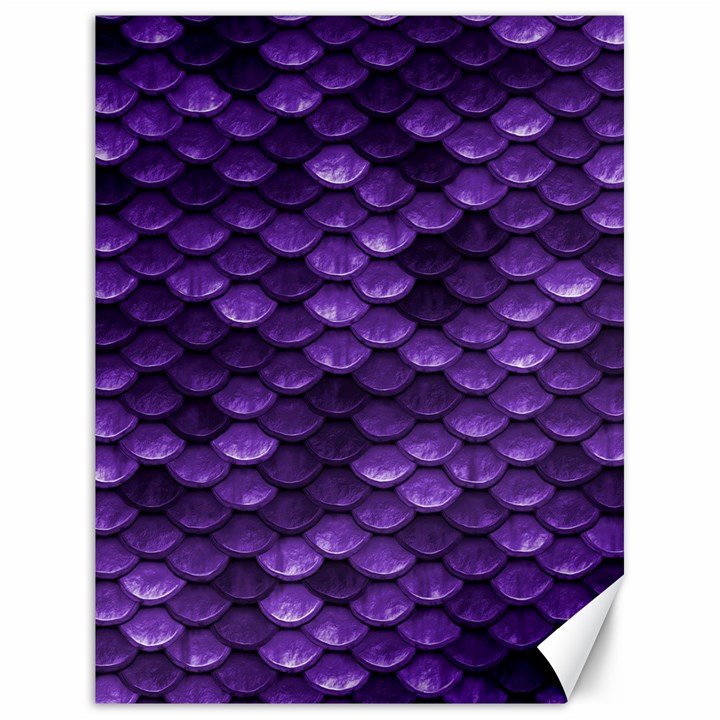 Purple Scales! Canvas 18  x 24 