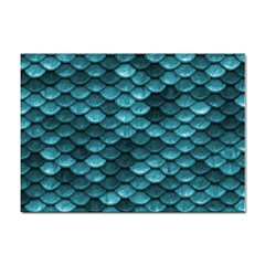 Teal Scales! Sticker A4 (10 Pack)