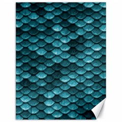 Teal Scales! Canvas 18  X 24  by fructosebat