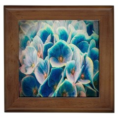 Hydrangeas-blossom-bloom-blue Framed Tile by Ravend