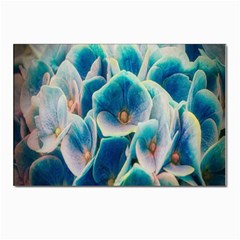 Hydrangeas-blossom-bloom-blue Postcard 4 x 6  (pkg Of 10) by Ravend