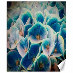 Hydrangeas-blossom-bloom-blue Canvas 8  X 10  by Ravend