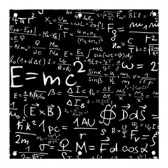 E=mc2 Text Science Albert Einstein Formula Mathematics Physics Banner And Sign 3  X 3  by Jancukart