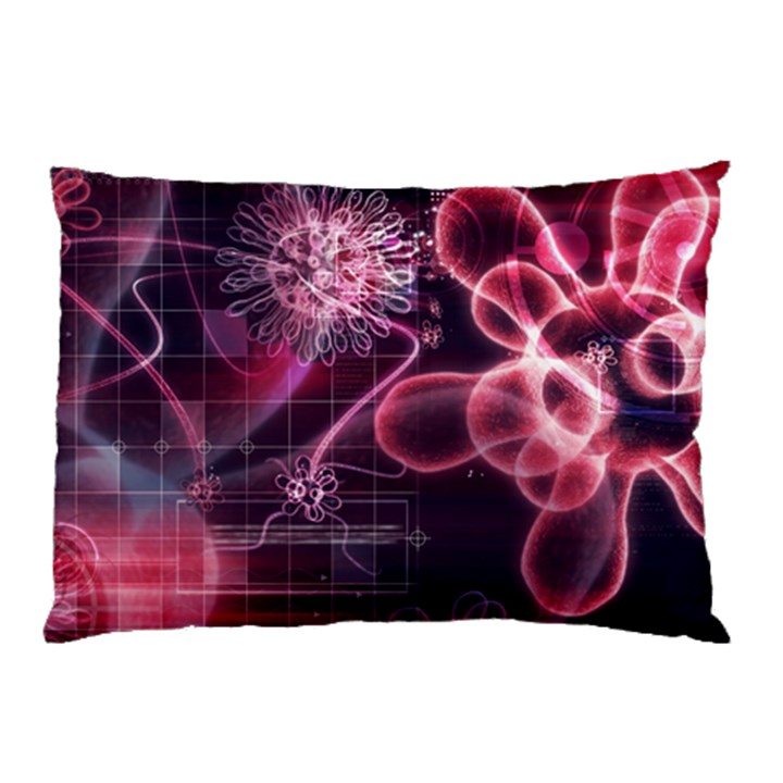 Formula Math Mathematics Physics Science Pillow Case