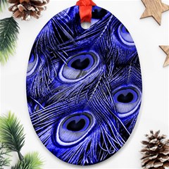 Purple Peacock Feather Ornament (oval) by Jancukart