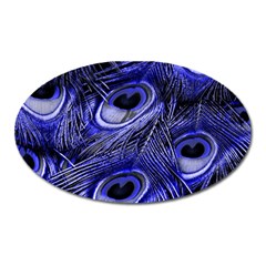 Purple Peacock Feather Oval Magnet