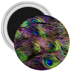 Green Purple And Blue Peacock Feather 3  Magnets