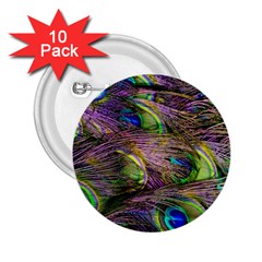 Green Purple And Blue Peacock Feather 2 25  Buttons (10 Pack) 