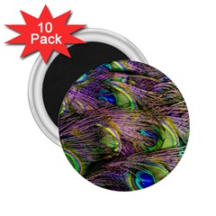 Green Purple And Blue Peacock Feather 2 25  Magnets (10 Pack) 