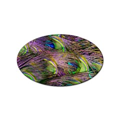 Green Purple And Blue Peacock Feather Sticker (oval) by Jancukart