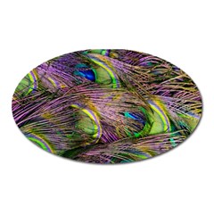 Green Purple And Blue Peacock Feather Oval Magnet