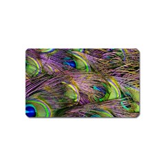 Green Purple And Blue Peacock Feather Magnet (name Card)