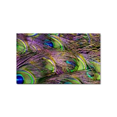 Green Purple And Blue Peacock Feather Sticker Rectangular (100 Pack) by Jancukart