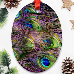 Green Purple And Blue Peacock Feather Oval Ornament (two Sides) by Jancukart