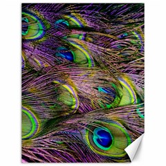 Green Purple And Blue Peacock Feather Canvas 12  X 16 