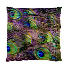 Green Purple And Blue Peacock Feather Standard Cushion Case (one Side) by Jancukart