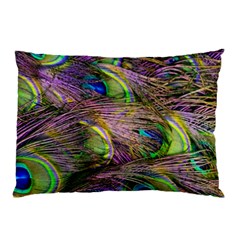 Green Purple And Blue Peacock Feather Pillow Case