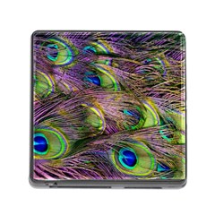 Green Purple And Blue Peacock Feather Memory Card Reader (square 5 Slot)