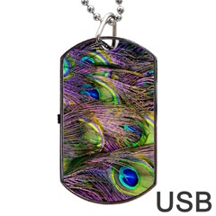 Green Purple And Blue Peacock Feather Dog Tag Usb Flash (one Side) by Jancukart