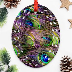 Green Purple And Blue Peacock Feather Ornament (oval Filigree) by Jancukart