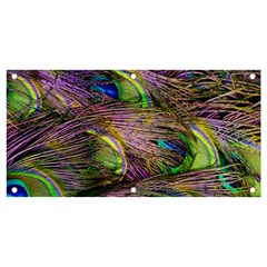 Green Purple And Blue Peacock Feather Banner And Sign 4  X 2  by Jancukart