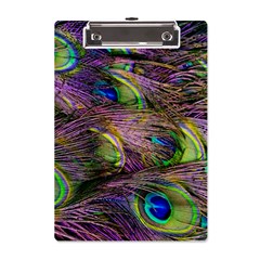 Green Purple And Blue Peacock Feather A5 Acrylic Clipboard