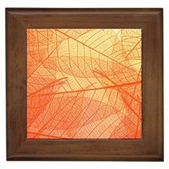 Orange Leaves Colorful Transparent Texture Of Natural Background Framed Tile