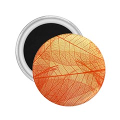 Orange Leaves Colorful Transparent Texture Of Natural Background 2 25  Magnets