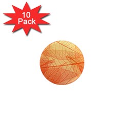 Orange Leaves Colorful Transparent Texture Of Natural Background 1  Mini Magnet (10 Pack)  by Jancukart