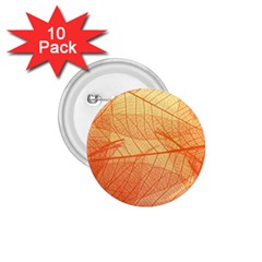 Orange Leaves Colorful Transparent Texture Of Natural Background 1 75  Buttons (10 Pack)