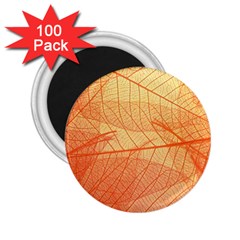 Orange Leaves Colorful Transparent Texture Of Natural Background 2 25  Magnets (100 Pack)  by Jancukart